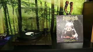 Primus - Pork Soda (1993) Full Album Vinyl Rip