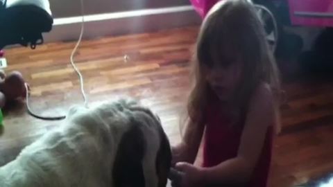 Girl Has A Hilarious Reaction To Her Dog’s Selfishness