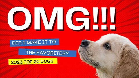 Is Your Dog Included in the TOP Favorites 20 breeds in America?