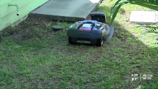 Couple launches business with robotic lawn mower