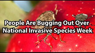 People Are Bugging Out Over National Invasive Species Week