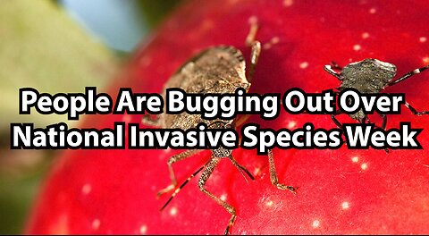 People Are Bugging Out Over National Invasive Species Week