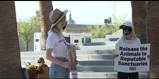 PETA protest today in Las Vegas