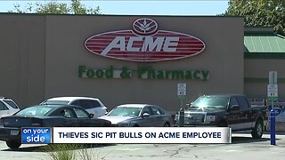 Grocery-stealing duo sics two pit bulls on Acme Fresh Market employee in Akron