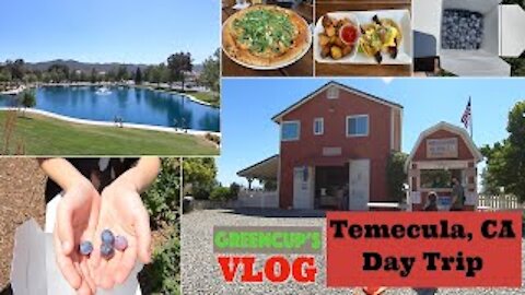 Travel VLOG #4 | Temecula, CA [BLUEBERRY PICKING, PIGS, and BRUNCH TACOS]