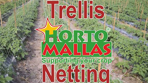 Hortomallas. Supporting your Crop