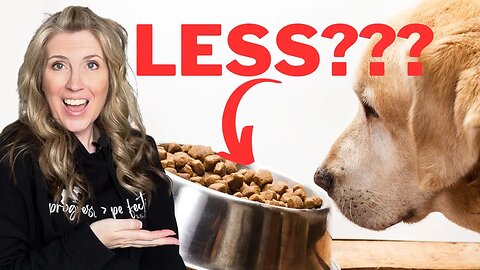 Could Feeding Less Food To Your Dog Cause Problems?