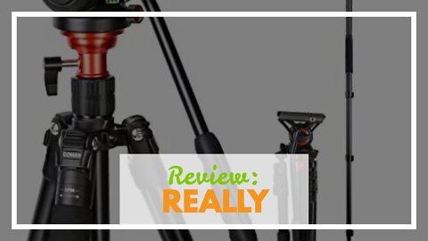 Review: Manfrotto Fluid Video Aluminum Monopod with Plate