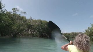 ROBBIE'S KAYAKING IN THE MANGROVES/ISLAMORADA FLORIDA