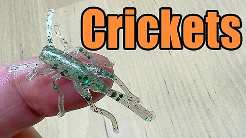 Panfish Cricket Soft Plastic Fishing Bait