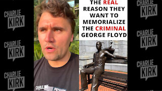 The Real Reason They Want to Memorialize the Criminal George Floyd