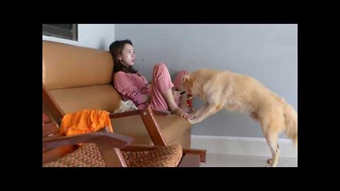 How to dogs make baby so Sweet Big dog's Very interest video