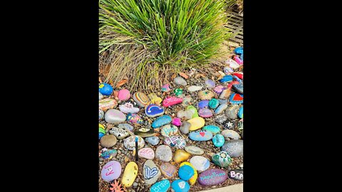 Painted Rocks for the Garden! Fun Garden Decor Shirley Bovshow #shorts