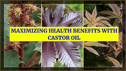 How Does Castor Oil Promote Better Health