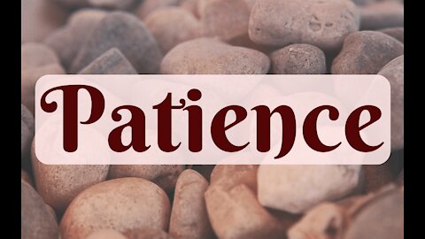 February 4 Devotional - Patience, can you be patient today? - Tiffany Root & Kirk VandeGuchte