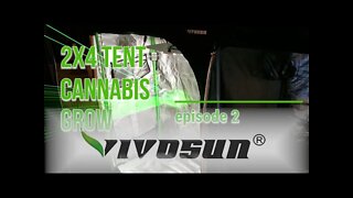 Vivosun Grow Tent 2x4 MAC1 Cannabis Grow ep. 2 🔨 #Vivosun #420 #MAC1