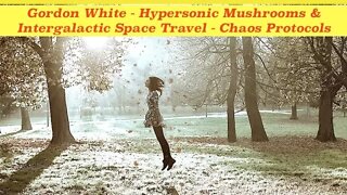 Gordon White - House of the Dragon - 70,000 Years Ago - Hypersonic Mushrooms & Chaos Protocols