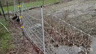 Checking Flash Floods; South Central Missouri