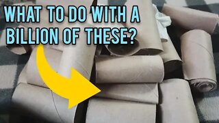 What To Do With a Billion Toilet Paper Rolls? - Ann's Tiny Life and Homestead