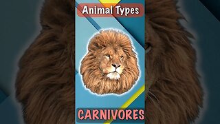 Apex Carnivorous Animals | Top Predators | Lion #shorts #lion