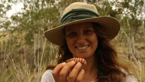 Bushcraft and Traditional Bush Tucker - Free Range Sailing Ep 90