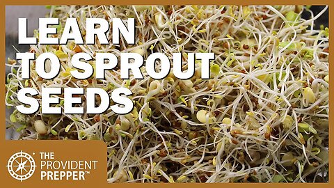 Prepper Pantry: Learn How to Sprout Seeds for Increased Nutrition