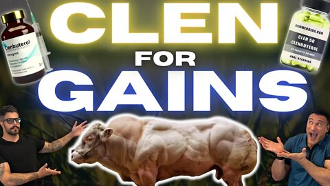 This Is How Clen Grows Muscle| @Leo and Longevity