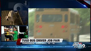 TUSD hosting bus driver job fair