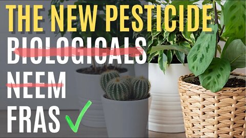 What Does Insect Frass Do For Plants? The MOST Effective Pesticide!? Chitin Fertilizer 101 🌿