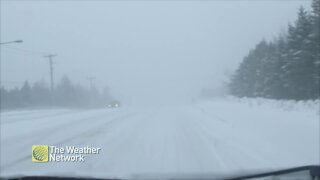 Treacherous conditions on the roads, driving into a whiteout