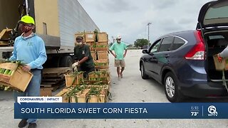 South Florida Sweet Corn Fiesta turns into drive-through event