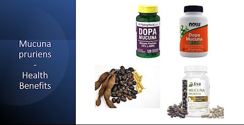Mucuna pruriens - Velvet Bean's Dopamine Benefits