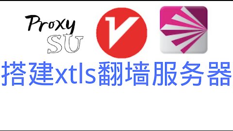 proxySU builds xtls over the wall server
