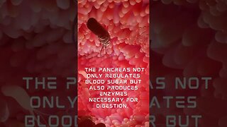 High Blood Sugar and Pancreas: How to Nourish and Protect Your Body's Blood Sugar Regulator #shorts