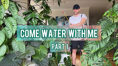 MY WATERING ROUTINE - Part 1