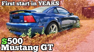 Finding an Abandoned Mustang GT on Google Maps and Buying it for $500