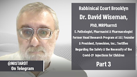 Brooklyn Rabbinical Court: Dr. David Wiseman part 3 | @nistarot on Telegram