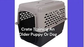 Crate Training An Older Puppy Or Dog. Some Tips and Pointers!