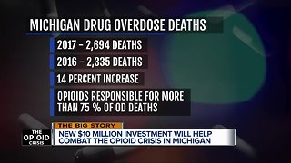 Former New York Mayor Bloomberg's charity invests $10M to help Michigan fight opioid deaths