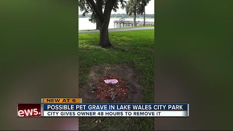 City gives owner 48 hours to remove what appears to be pet buried in public park