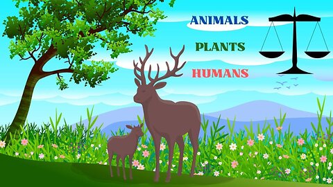 The Balance of Animals, Plants and Humans