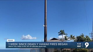 86% of structures destroyed in Maui fire were homes