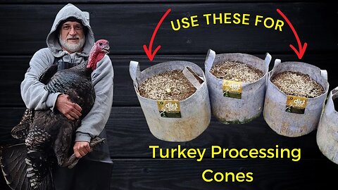 Cones for Turkey Processing - SIMPLE