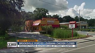 Dirty Dining: Popeyes closes for 30+ roaches