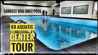 K9 Aquatic Center - Dog Swim School Tour