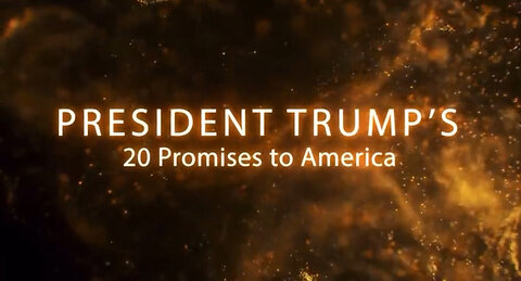 PRESIDENT TRUMP’S 20 PROMISES TO AMERICA