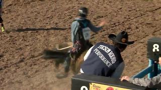 Bull riding competition at the Tucson Rodeo