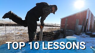 Top 10 Lessons Learned In Our First Year Of Homesteading