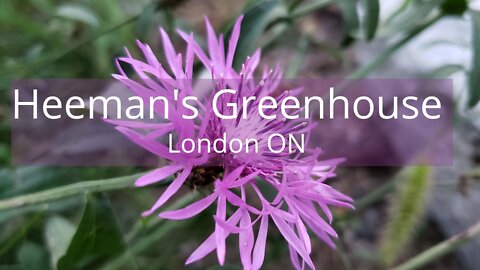 Heeman's Garden Center in London ON | Plants & Flowers