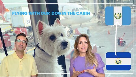 IS TRAVELING WITH DOG IN THE CABIN A HARD TASK? WE FLEW FROM EL SALVADOR TO GUATEMALA
